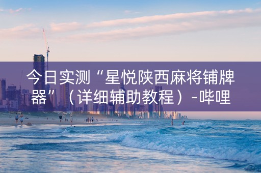 今日实测“星悦陕西麻将铺牌器”（详细辅助教程）-哔哩哔哩