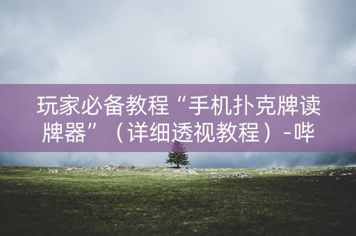 玩家必备教程“手机扑克牌读牌器”（详细透视教程）-哔哩哔哩