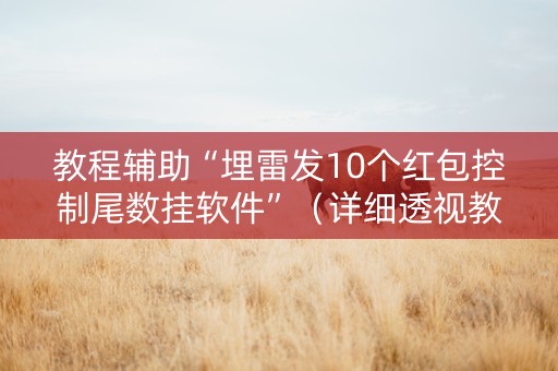 教程辅助“埋雷发10个红包控制尾数挂软件”（详细透视教程）-哔哩哔哩