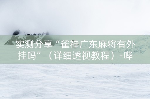 实测分享“雀神广东麻将有外挂吗”（详细透视教程）-哔哩哔哩