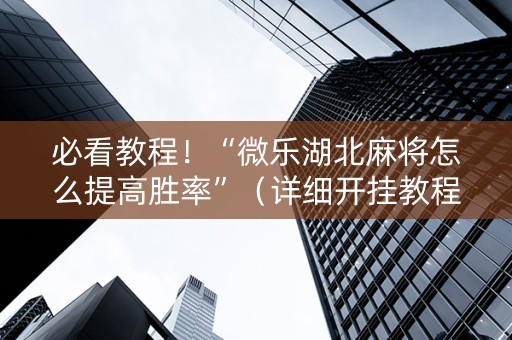 必看教程！“微乐湖北麻将怎么提高胜率”（详细开挂教程）-哔哩哔哩
