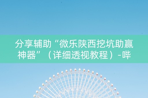 分享辅助“微乐陕西挖坑助赢神器”（详细透视教程）-哔哩哔哩
