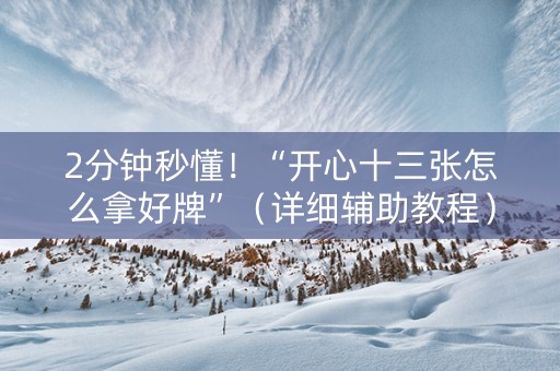 2分钟秒懂！“开心十三张怎么拿好牌”（详细辅助教程）-哔哩哔哩