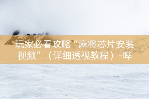 玩家必看攻略“麻将芯片安装视频”（详细透视教程）-哔哩哔哩