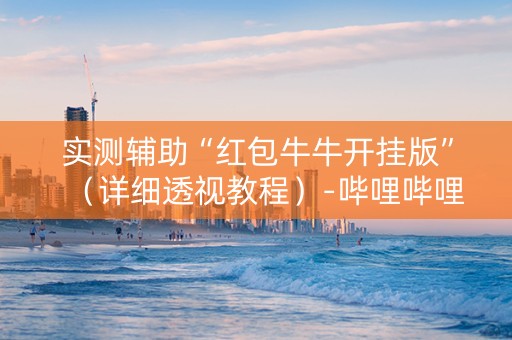 实测辅助“红包牛牛开挂版”（详细透视教程）-哔哩哔哩