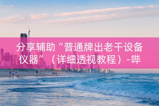 分享辅助“普通牌出老干设备仪器”（详细透视教程）-哔哩哔哩