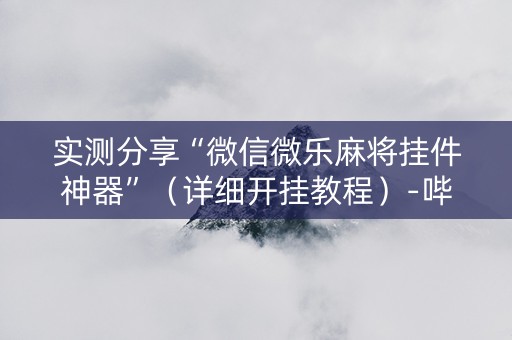 实测分享“微信微乐麻将挂件神器”（详细开挂教程）-哔哩哔哩