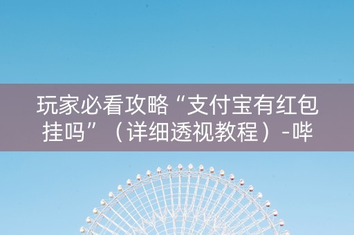 玩家必看攻略“支付宝有红包挂吗”（详细透视教程）-哔哩哔哩