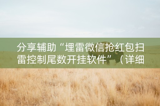 分享辅助“埋雷微信抢红包扫雷控制尾数开挂软件”（详细透视教程）-哔哩哔哩