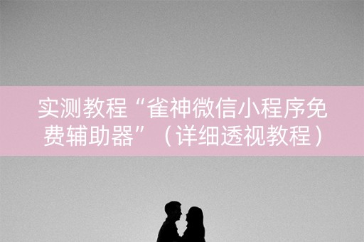 实测教程“雀神微信小程序免费辅助器”（详细透视教程）-哔哩哔哩