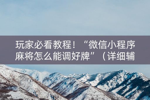玩家必看教程！“微信小程序麻将怎么能调好牌”（详细辅助教程）-哔哩哔哩