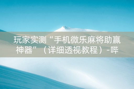 玩家实测“手机微乐麻将助赢神器”（详细透视教程）-哔哩哔哩