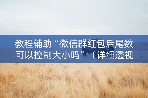 教程辅助“微信群红包后尾数可以控制大小吗”（详细透视教程）-哔哩哔哩