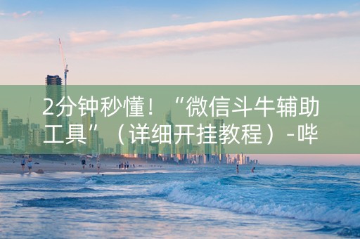 2分钟秒懂！“微信斗牛辅助工具”（详细开挂教程）-哔哩哔哩