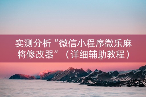 实测分析“微信小程序微乐麻将修改器”（详细辅助教程）-哔哩哔哩