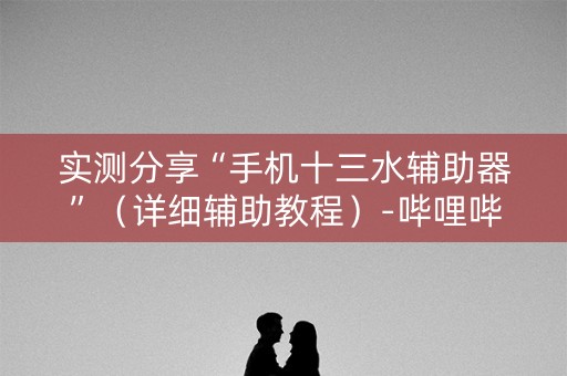 实测分享“手机十三水辅助器”（详细辅助教程）-哔哩哔哩