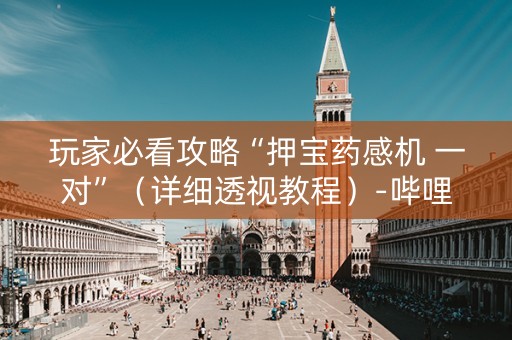 玩家必看攻略“押宝药感机 一对”（详细透视教程）-哔哩哔哩