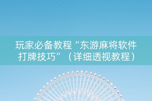玩家必备教程“东游麻将软件打牌技巧”（详细透视教程）-哔哩哔哩
