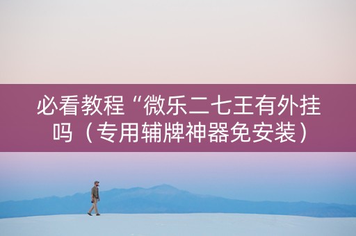 必看教程“微乐二七王有外挂吗（专用辅牌神器免安装）