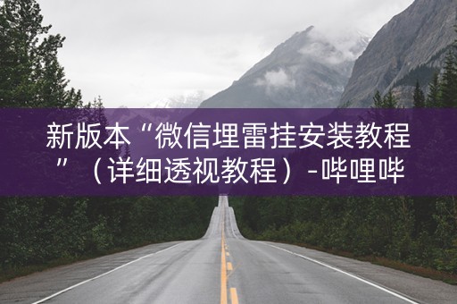 新版本“微信埋雷挂安装教程”（详细透视教程）-哔哩哔哩