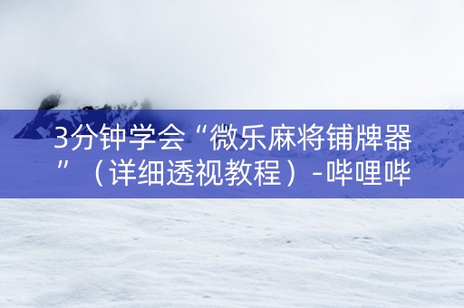 3分钟学会“微乐麻将铺牌器”（详细透视教程）-哔哩哔哩