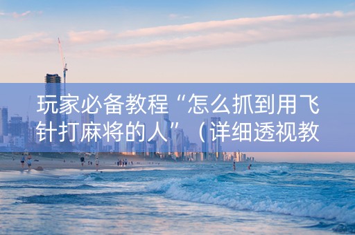 玩家必备教程“怎么抓到用飞针打麻将的人”（详细透视教程）-哔哩哔哩