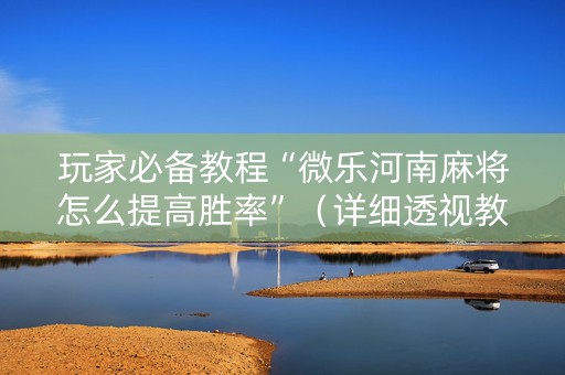 玩家必备教程“微乐河南麻将怎么提高胜率”（详细透视教程）-哔哩哔哩