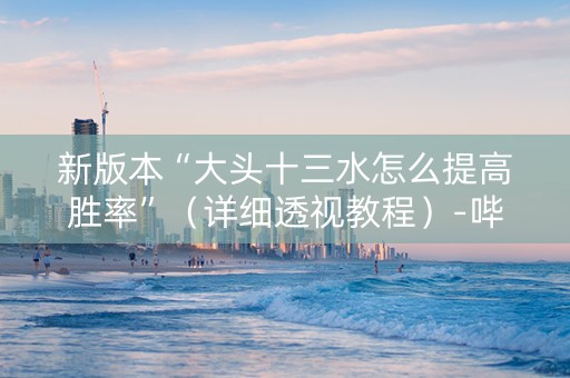 新版本“大头十三水怎么提高胜率”（详细透视教程）-哔哩哔哩
