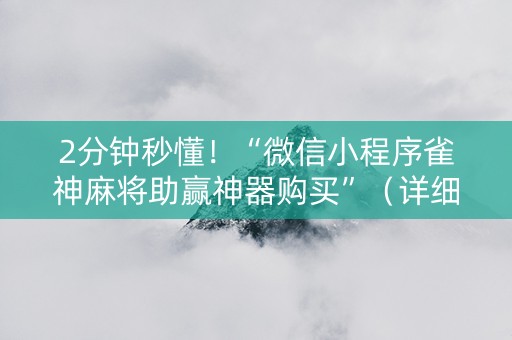 2分钟秒懂！“微信小程序雀神麻将助赢神器购买”（详细辅助教程）-哔哩哔哩