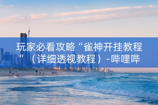 玩家必看攻略“雀神开挂教程”（详细透视教程）-哔哩哔哩