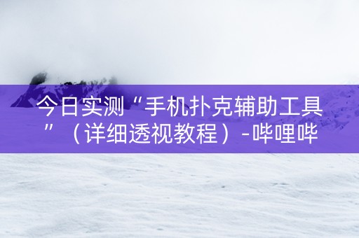 今日实测“手机扑克辅助工具”（详细透视教程）-哔哩哔哩