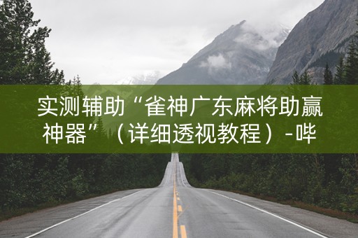 实测辅助“雀神广东麻将助赢神器”（详细透视教程）-哔哩哔哩