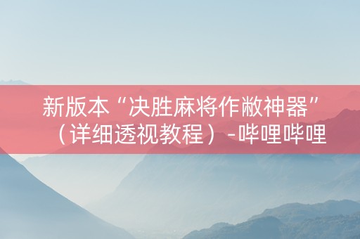 新版本“决胜麻将作敝神器”（详细透视教程）-哔哩哔哩