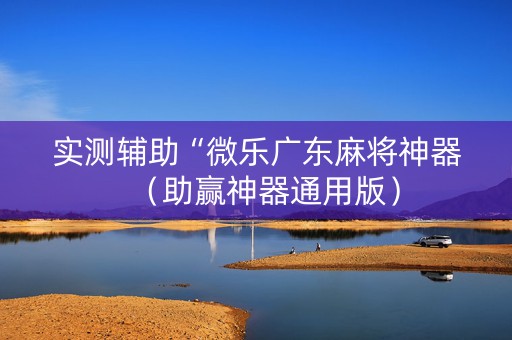 实测辅助“微乐广东麻将神器（助赢神器通用版）
