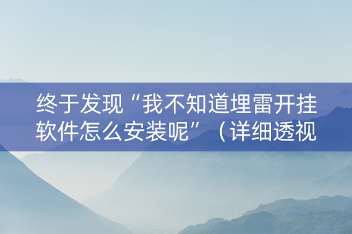 终于发现“我不知道埋雷开挂软件怎么安装呢”（详细透视教程）-哔哩哔哩