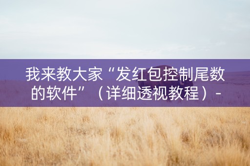 我来教大家“发红包控制尾数的软件”（详细透视教程）-哔哩哔哩