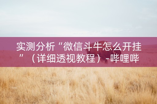 实测分析“微信斗牛怎么开挂”（详细透视教程）-哔哩哔哩
