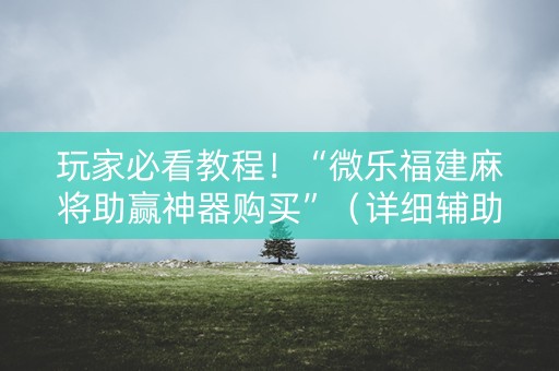 玩家必看教程！“微乐福建麻将助赢神器购买”（详细辅助教程）-哔哩哔哩