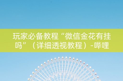 玩家必备教程“微信金花有挂吗”（详细透视教程）-哔哩哔哩