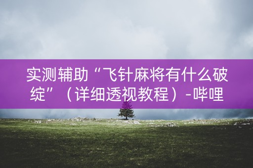 实测辅助“飞针麻将有什么破绽”（详细透视教程）-哔哩哔哩