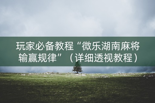 玩家必备教程“微乐湖南麻将输赢规律”（详细透视教程）-哔哩哔哩