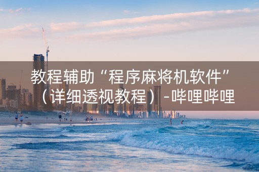教程辅助“程序麻将机软件”（详细透视教程）-哔哩哔哩