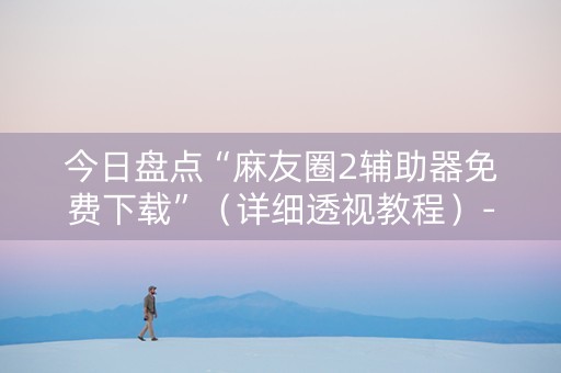 今日盘点“麻友圈2辅助器免费下载”（详细透视教程）-哔哩哔哩