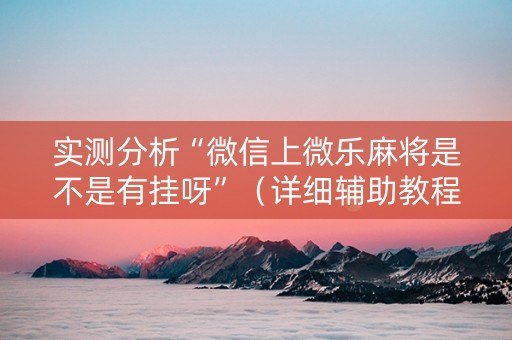 实测分析“微信上微乐麻将是不是有挂呀”（详细辅助教程）-哔哩哔哩
