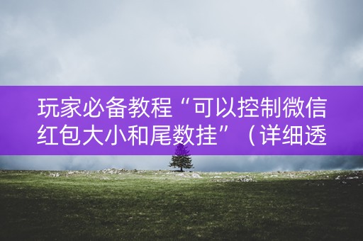 玩家必备教程“可以控制微信红包大小和尾数挂”（详细透视教程）-哔哩哔哩