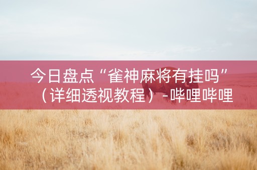 今日盘点“雀神麻将有挂吗”（详细透视教程）-哔哩哔哩