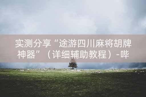 实测分享“途游四川麻将胡牌神器”（详细辅助教程）-哔哩哔哩