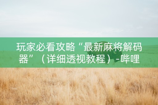 玩家必看攻略“最新麻将解码器”（详细透视教程）-哔哩哔哩