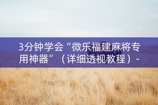 3分钟学会“微乐福建麻将专用神器”（详细透视教程）-哔哩哔哩
