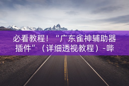 必看教程！“广东雀神辅助器插件”（详细透视教程）-哔哩哔哩